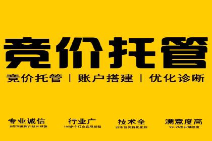 百度SEM竞价推广的关键词选择与优化：一则成功的广告案例